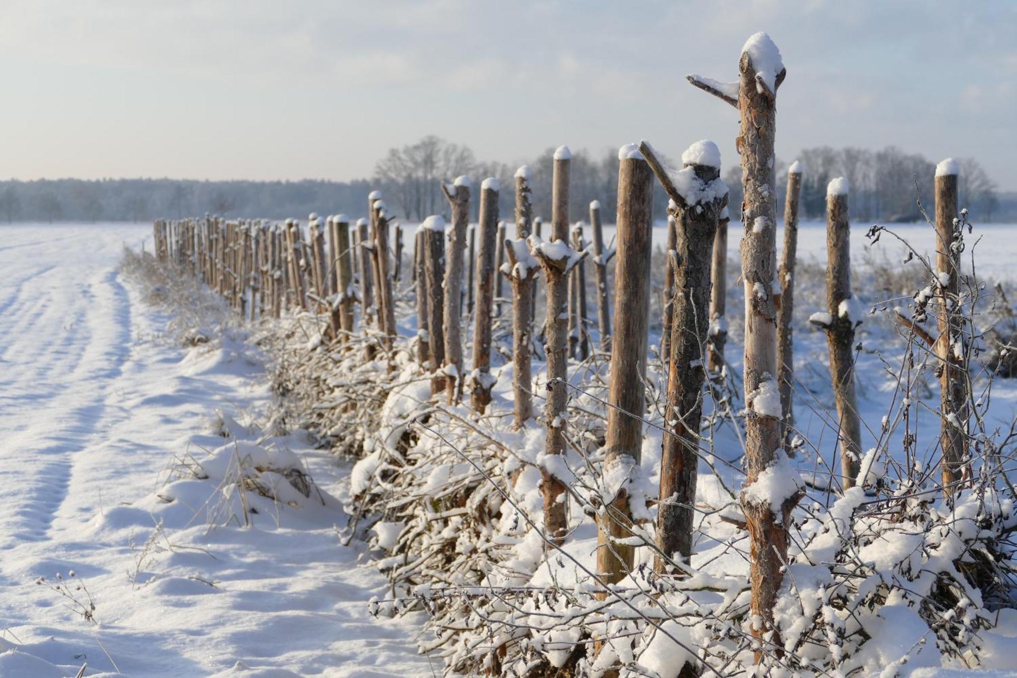 Naturgarten Karlsfeld In Der Schoenen Lausitz Welzow 外观 照片