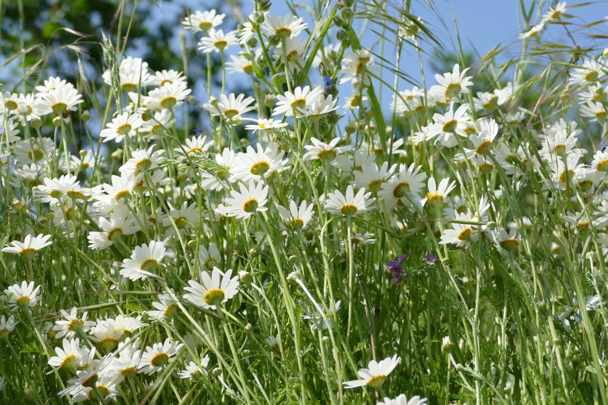 Naturgarten Karlsfeld In Der Schoenen Lausitz Welzow 外观 照片